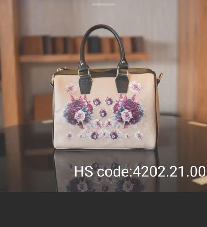 Suitcases & Handbags 11