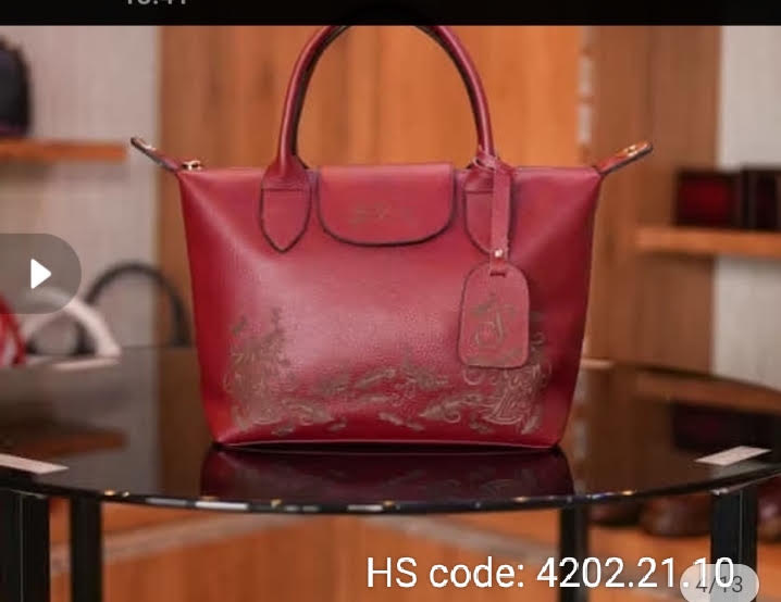 Suitcases & Handbags 13