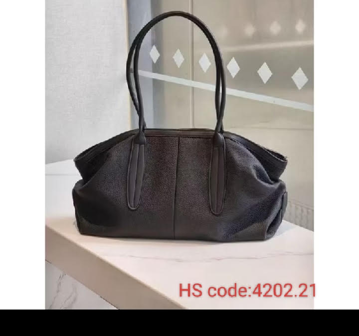 Suitcases & Handbags 29