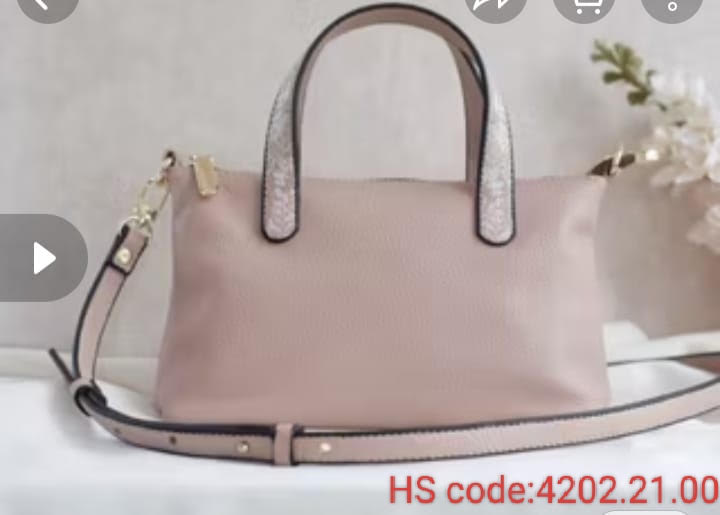 Suitcases & Handbags 32