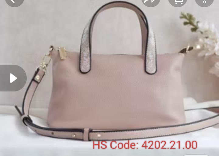 Suitcases & Handbags 44