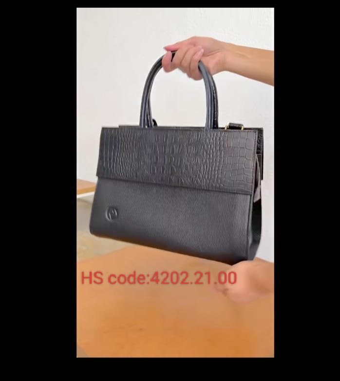 Suitcases & Handbags 9